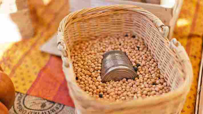 The star legume of southern France