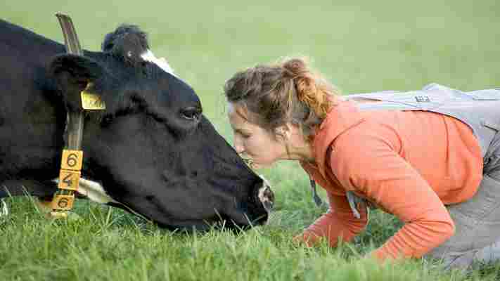 Is cow hugging the world’s new wellness trend?